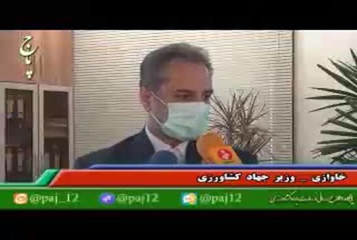 خاوازی تشریح کرد: اقدامات وزارت جهاد کشاورزی برای ساماندهی بازار مرغ