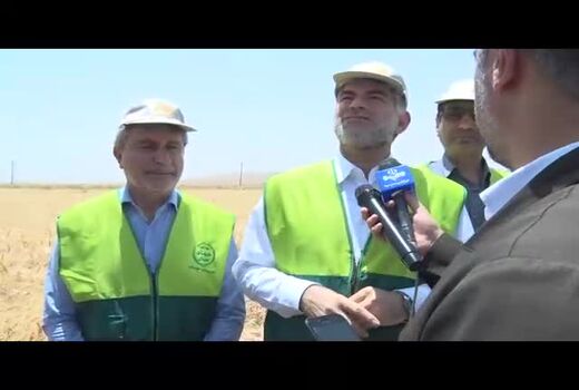 وزیر جهاد کشاورزی: رشد ۱۰ درصدی تولید گندم در استان کرمانشاه 