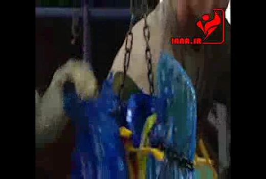 برداشت و بسته بندی موز