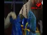 برداشت و بسته بندی موز