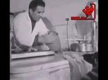 سگی که  زندگی خود را می گرداند
