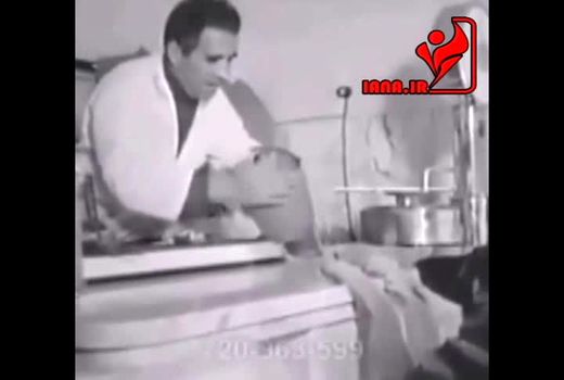 سگی که  زندگی خود را می گرداند