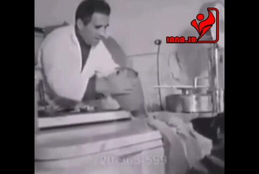 سگی که  زندگی خود را می گرداند